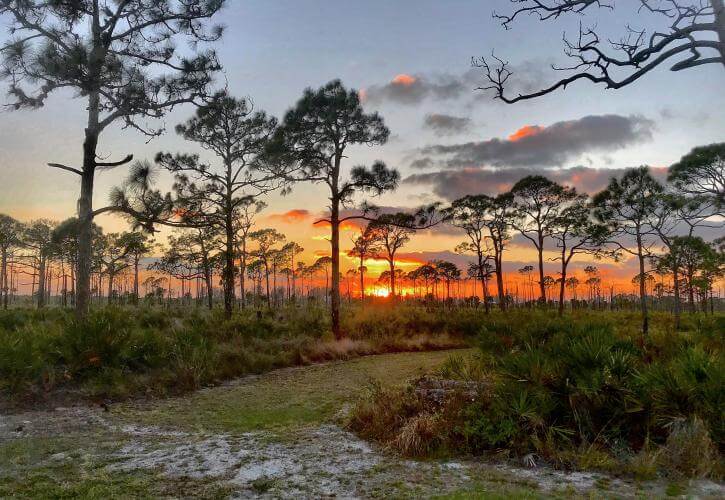 Escape To Paradise: Discover The Untouched Beauty Of Don Pedro Island State Park