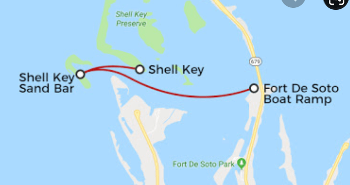 Shell Key: Wait, Wait, We Found Another One! â€¢ Authentic Florida