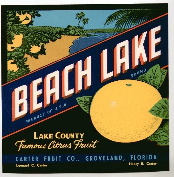 Eagle Lake Florida Eagle Eye Orange Citrus Fruit Crate Label Art Print 
