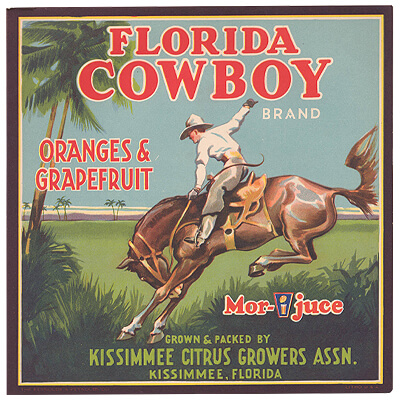 Haines City Florida Red Skin Brand Orange Citrus Fruit Crate Label Print 
