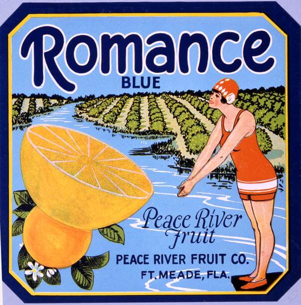 *Original* SUNBRITE Belleview Florida Citrus Orange Crate Label NOT A COPY!! 