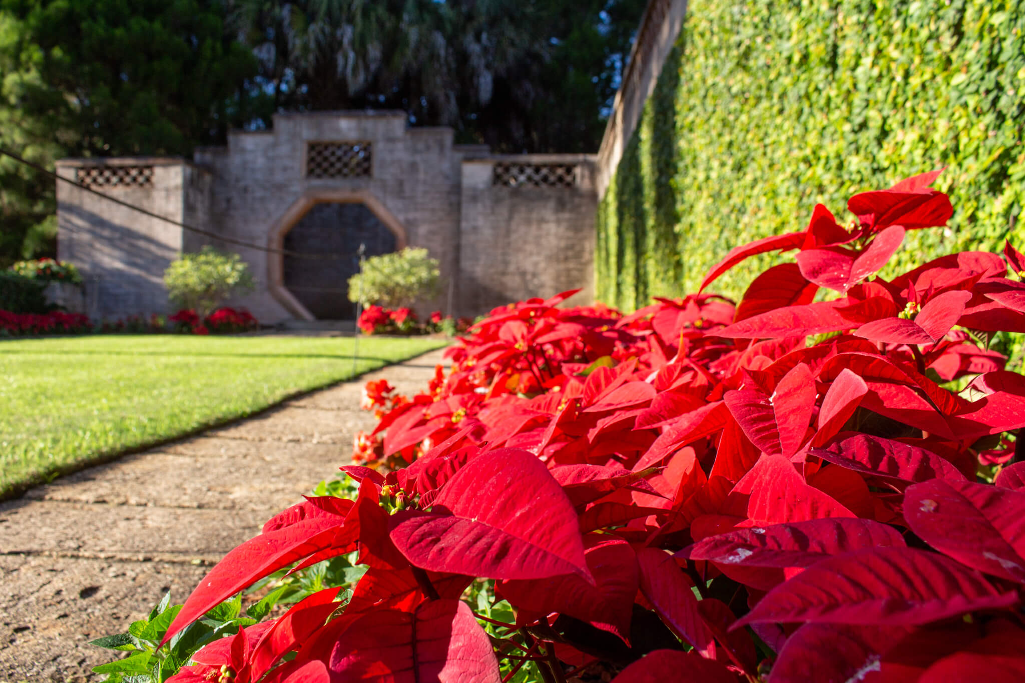 Bok Tower Gardens Sparkle for the Holidays • Authentic Florida