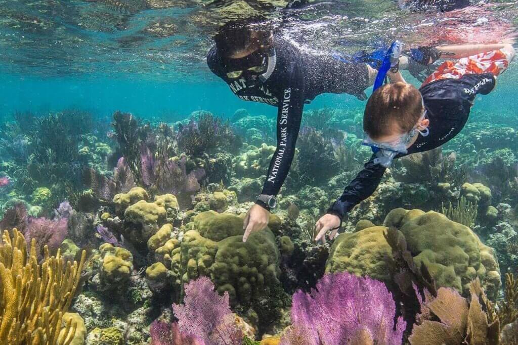 Dry Tortugas: Florida's Authentic Paradise • Authentic Florida