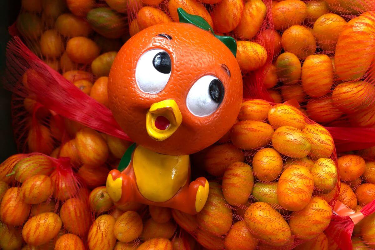 Kumquat Festival Dade City 2025