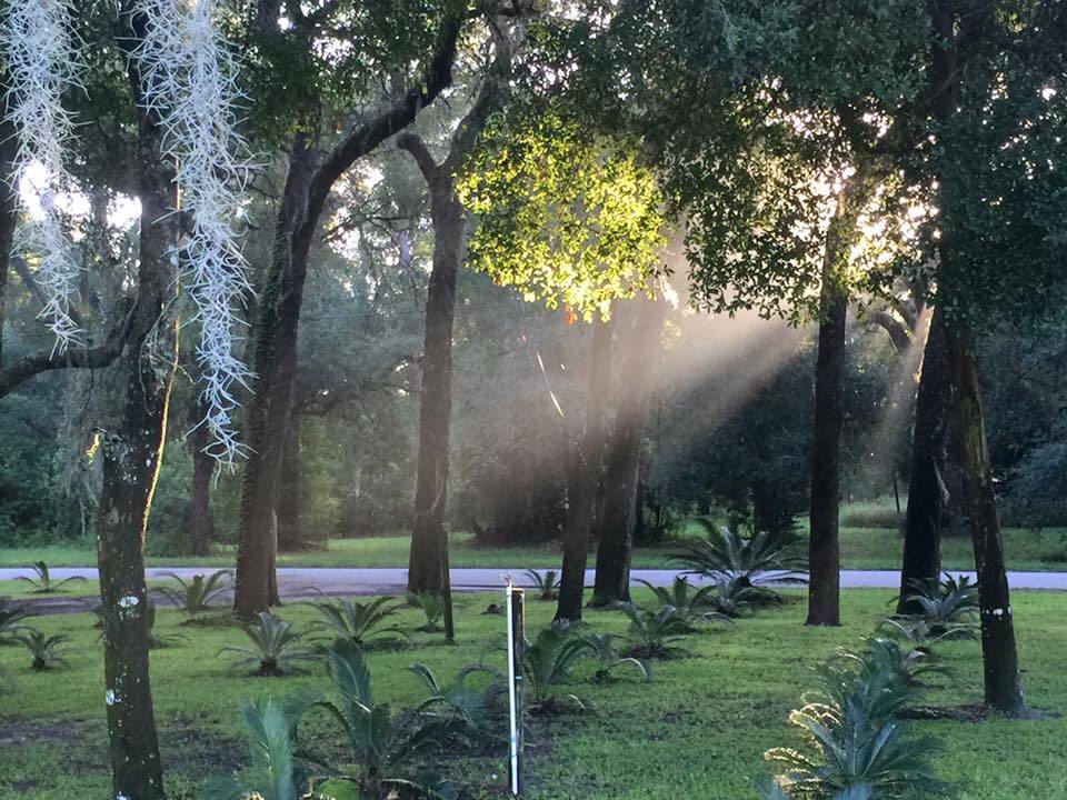 Things to Do in Pierson, Florida