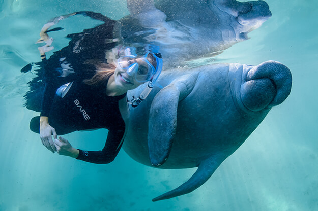 Five Ways to Befriend a Manatee