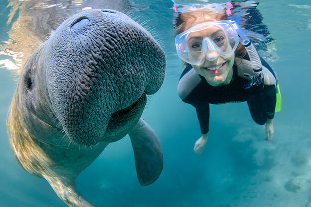 Three Sisters Springs, Crystal River Florida, USA Vacations in december