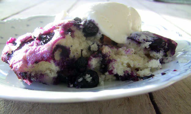 Blueberry Pudding Cake Recipe - Andrea Meyers