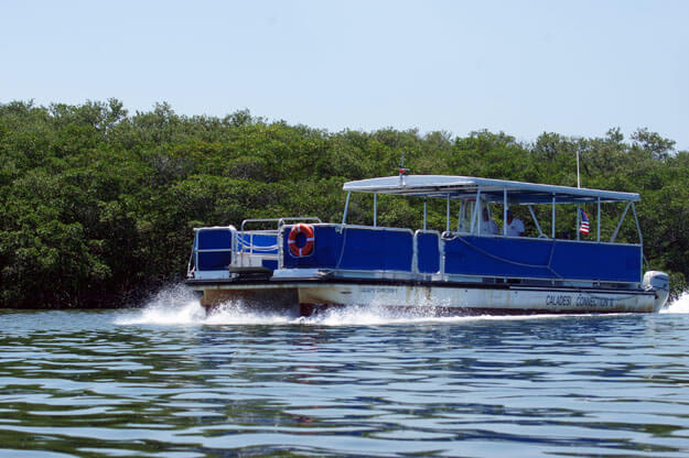 Caladesi Island Earns Spot On Dr. Beach's Top 10 Beaches List