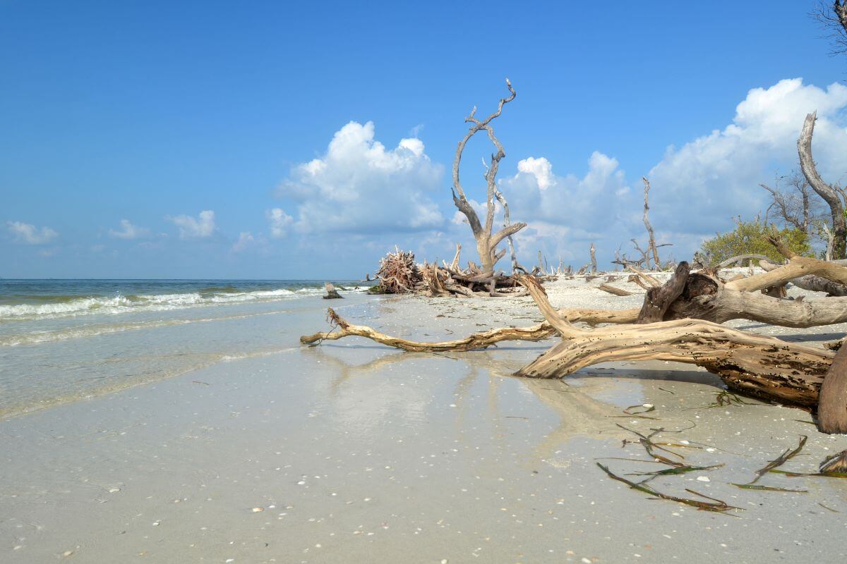 Cayo Costa Island State Park % Authentic Florida