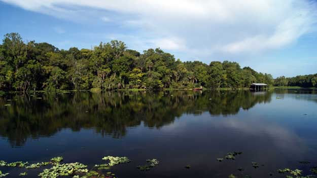 Make Your Own Pancakes in De Leon Springs • Authentic Florida