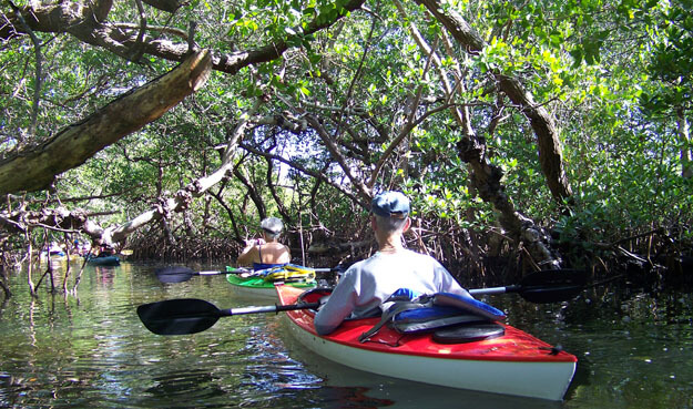 Charming and Just About Perfect: Emerson Point Preserve • Authentic Florida