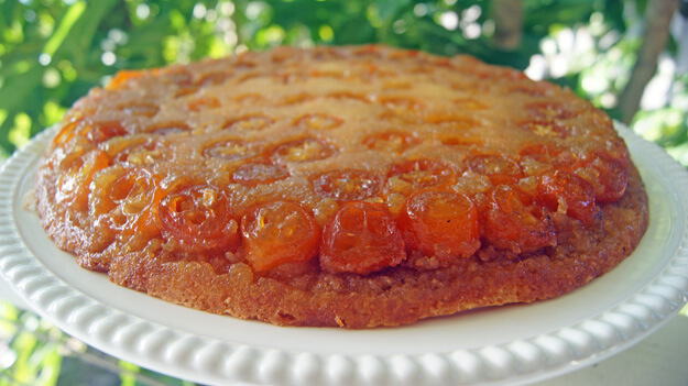 Florida Orange Sunshine Cake- must make this!! But I will add white  chocolate chips like I had a… | Florida sunshine cake recipe, Diy desserts,  Dessert recipes easy