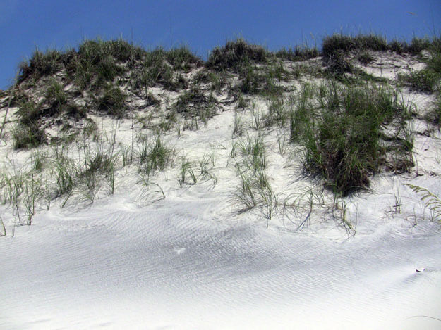 Discover St. Joseph Peninsula State Park