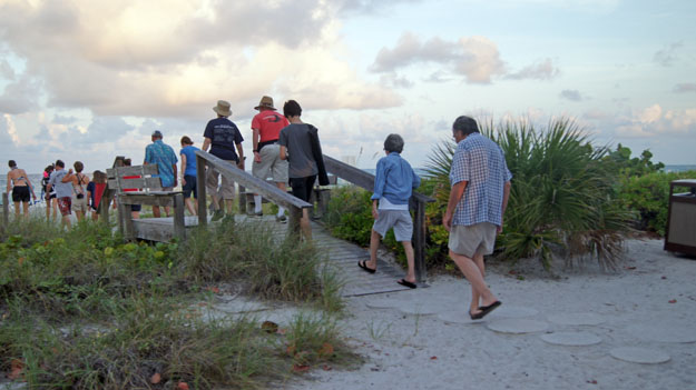 https://asoft11222.accrisoft.com/authenticfla//Sea Turtles/TurtleWalkPeople625X_edited-1.jpg