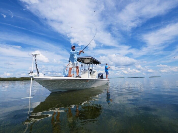 Swim with a Manatee and Experience Authentic Crystal River