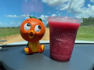 Bebida congelada Florida Orange Bird y Blueberry de Southern Hill Farms