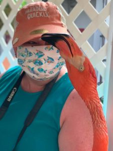 Flamingo Conservatorio de Mariposas y Naturaleza de Key West