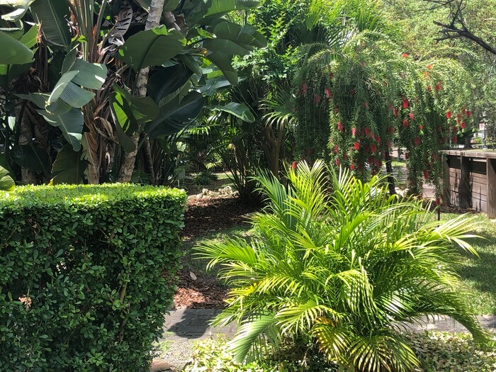 Foto de un jardín trasero de Florida