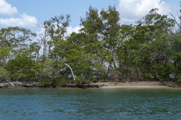 Photo of Cape Coral