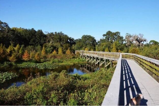 Photo of a bridge in Clearwater