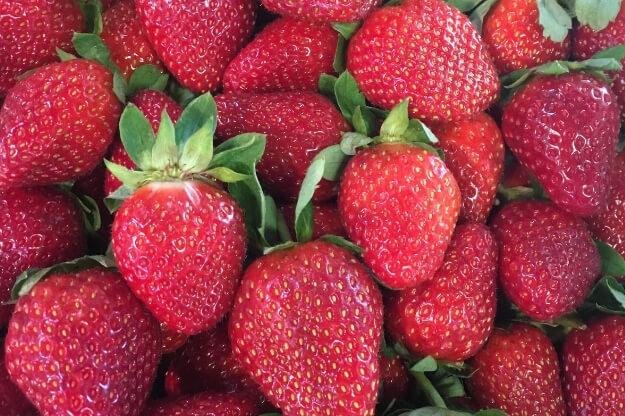 Photo of Knaus Berry Farm Strawberries