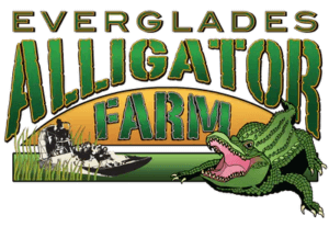 8 Florida Alligator Parks You Won't Want to Miss • Authentic Florida