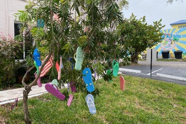 Photo of a flip flop tree in Gulfport FL