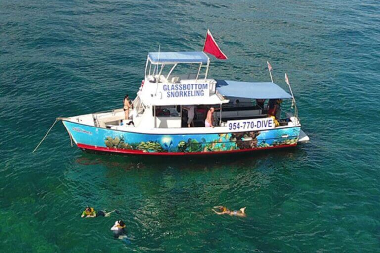 6 Best Glass Bottom Boat Tours in Florida • Authentic Florida