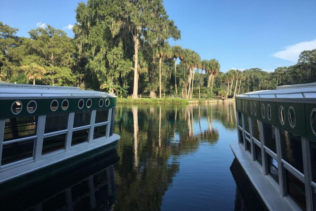 6 Best Glass Bottom Boat Tours in Florida • Authentic Florida