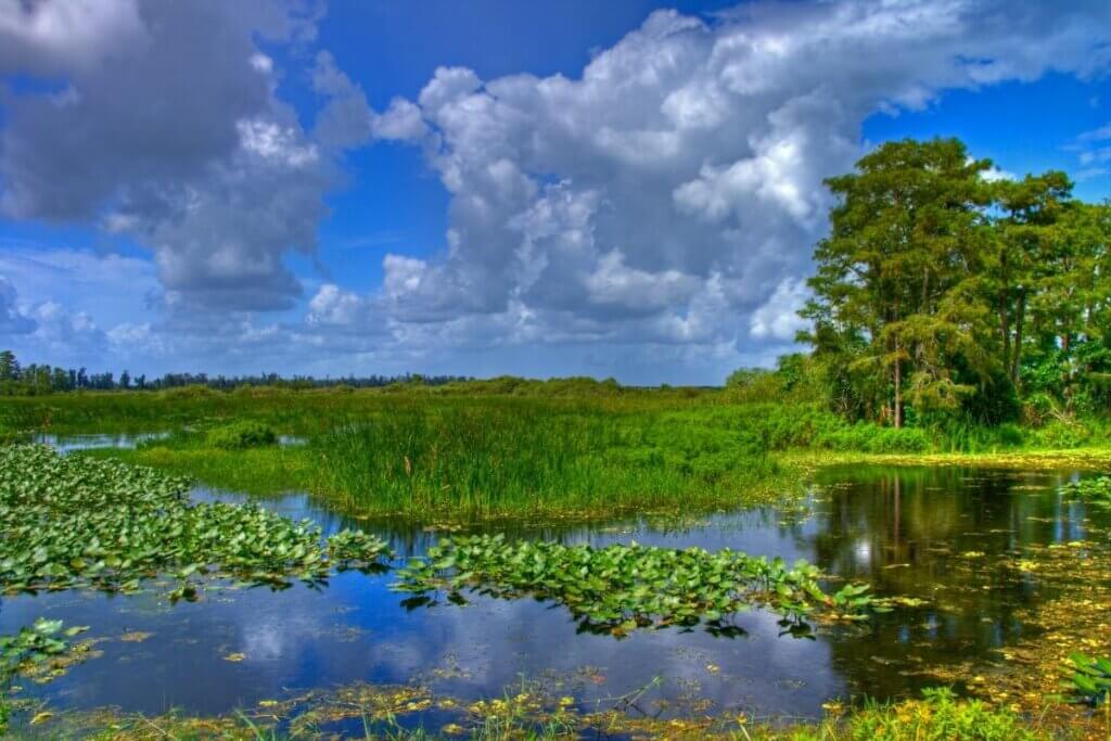 Everglades National Park, one of U.S. National Parks in Florida