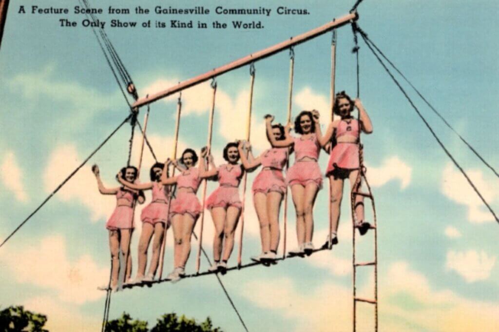 Gainesville Community Circus postcard