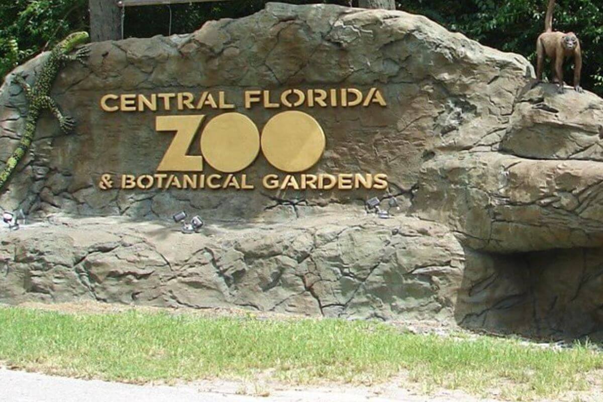 Central Florida Zoo Reopens on October 26th • Authentic Florida