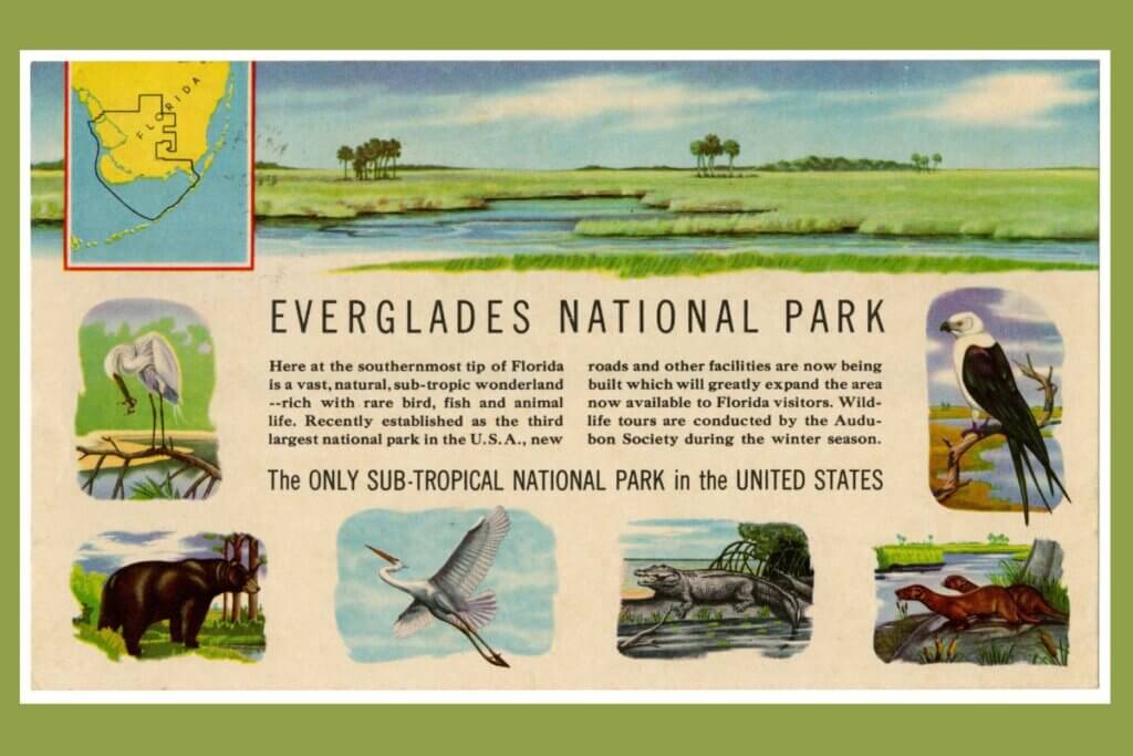 Everglades National Park brochure