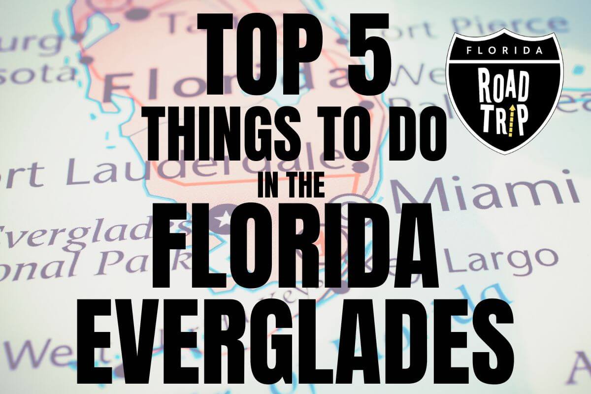 Top 5 Things To Do In The Florida Everglades Authentic Florida