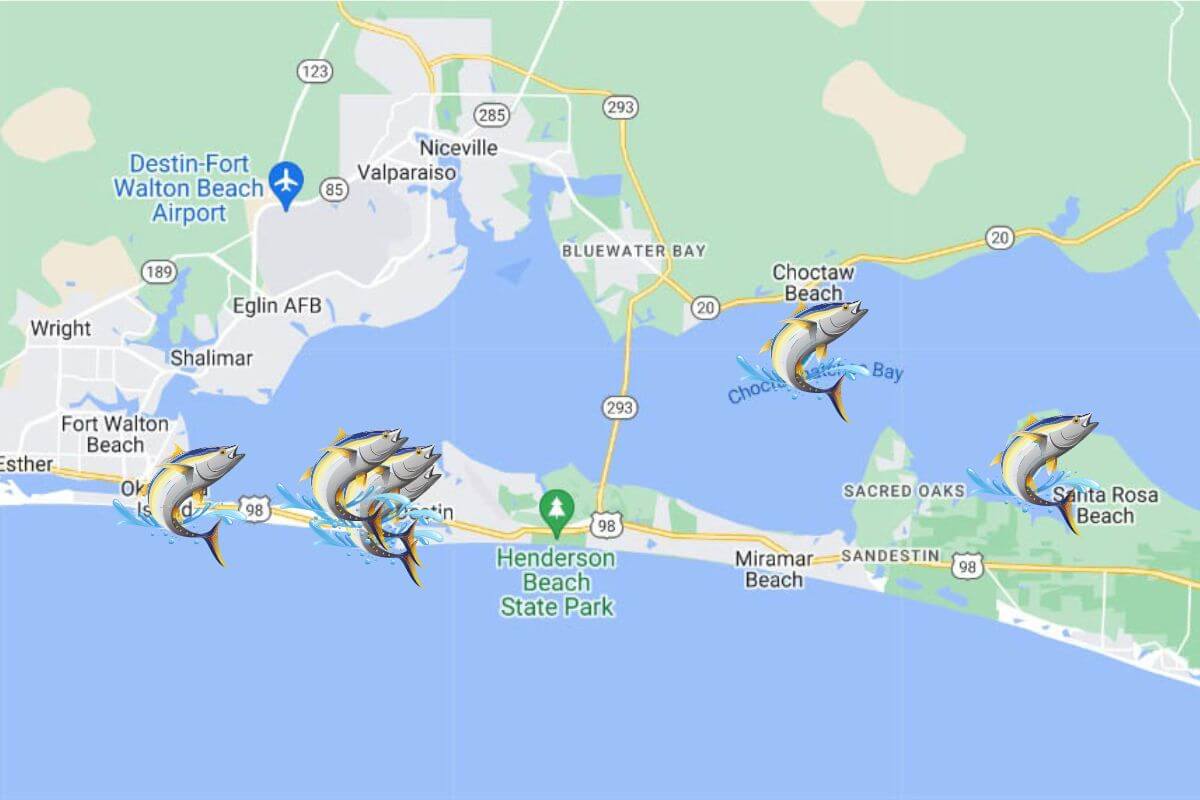 Best Fishing Spots in Destin - Best Fishing Spots In Destin