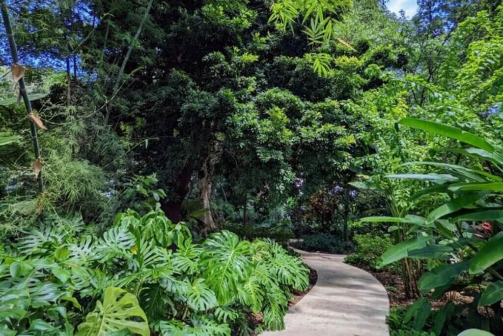 walking path