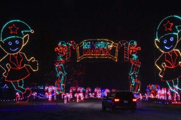 Best DriveThru Christmas Light Displays in Florida