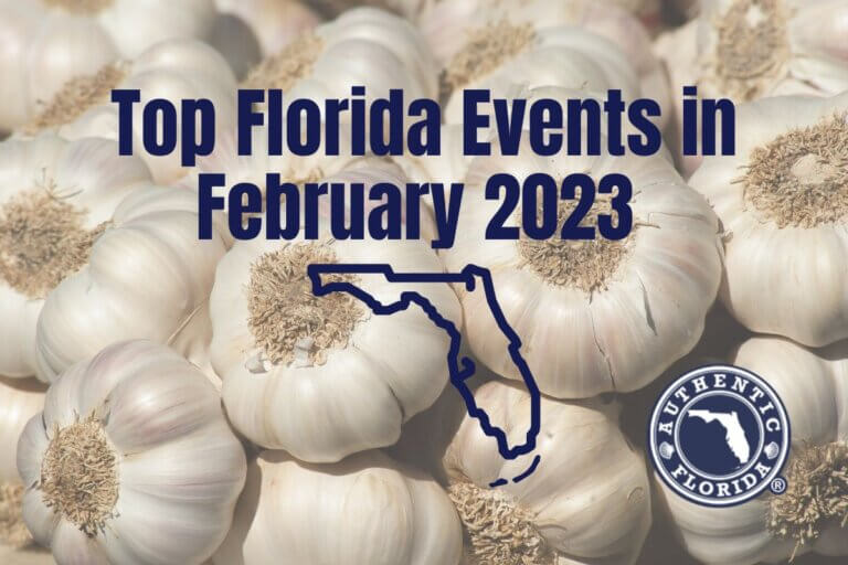 Top Florida Festivals in February 2023