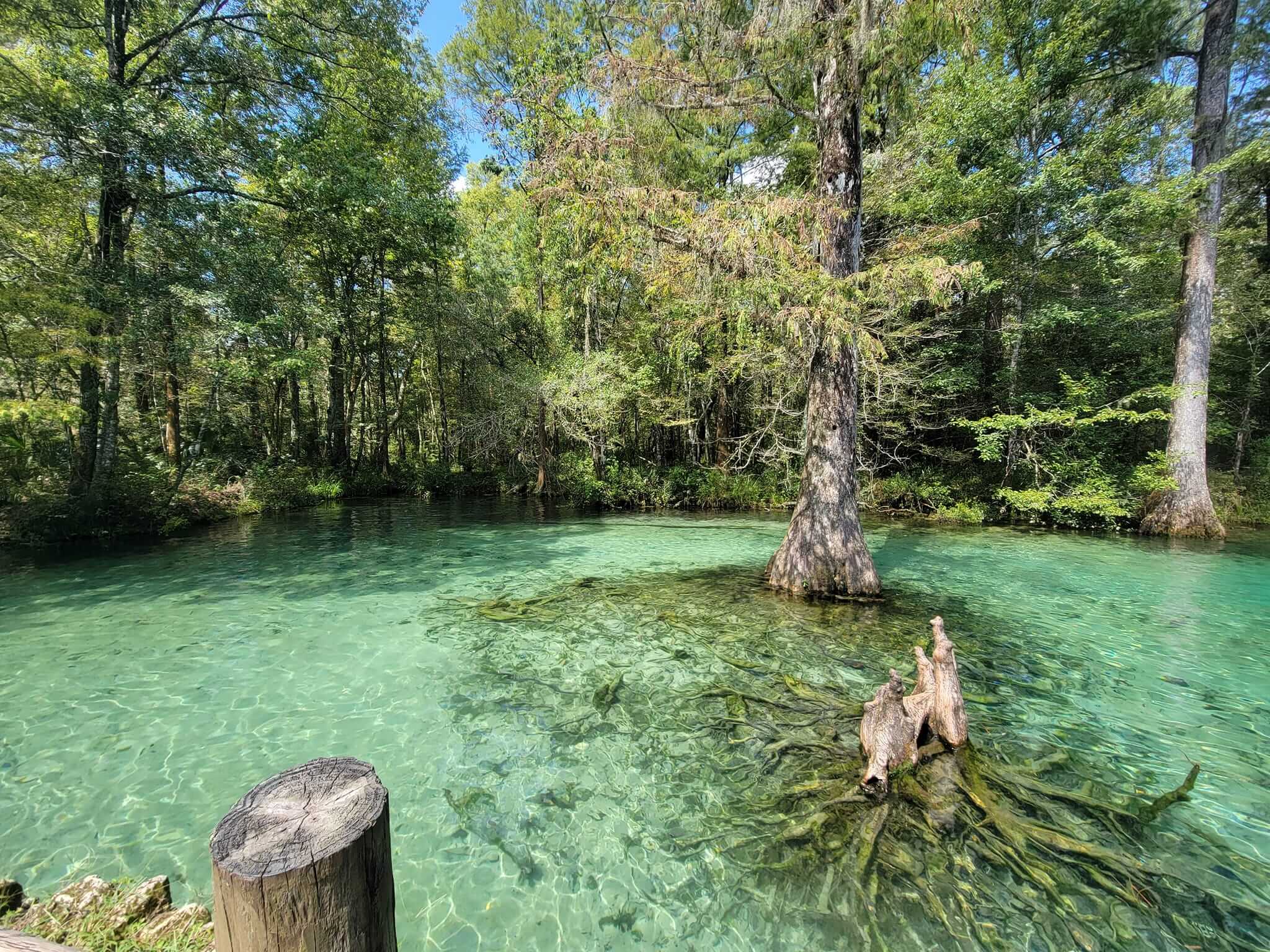 Ponce de Leon Springs State Park + Nearby Places to Eat, Stay, & Shop