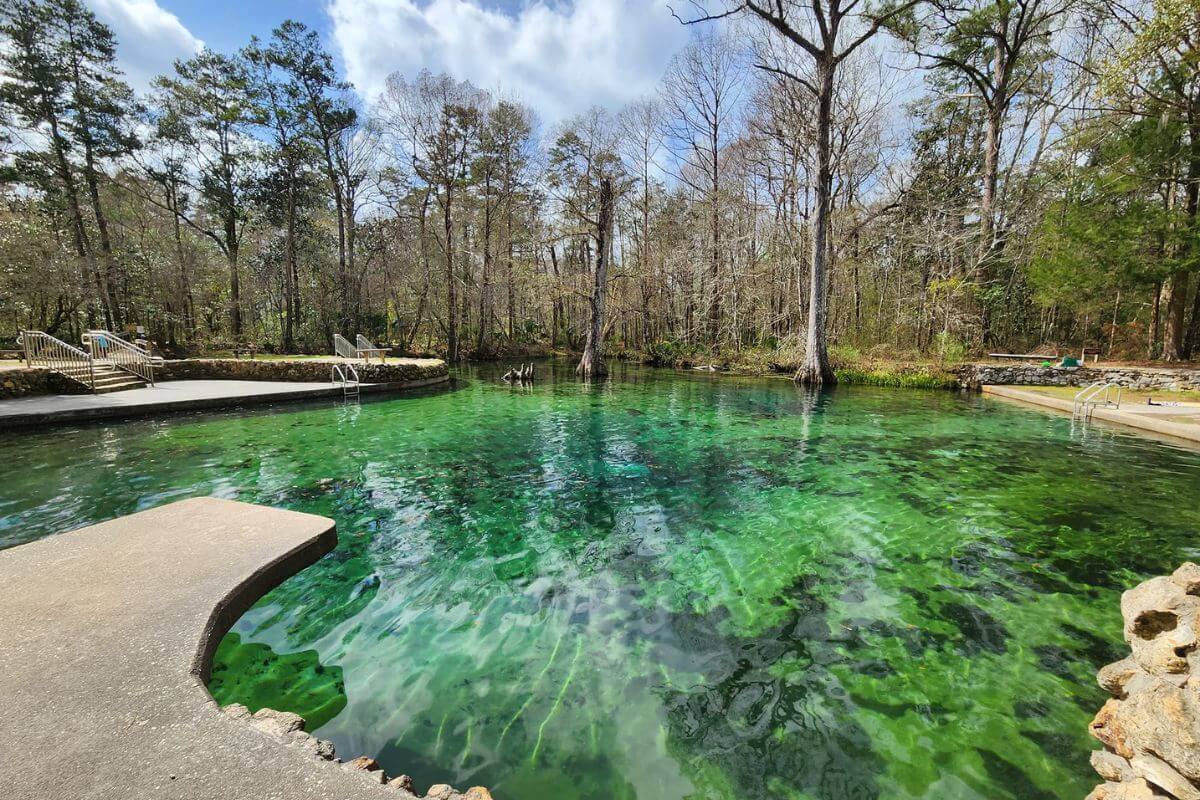 Ponce de Leon Springs State Park + Nearby Places to Eat, Stay, & Shop