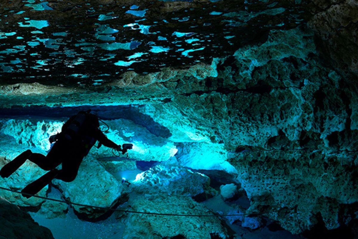 Ginnie Springs + Nearby Places to Eat, Stay, & Shop