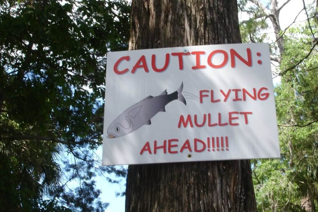 Mullet Toss 2024 Homosassa Peta Trudey