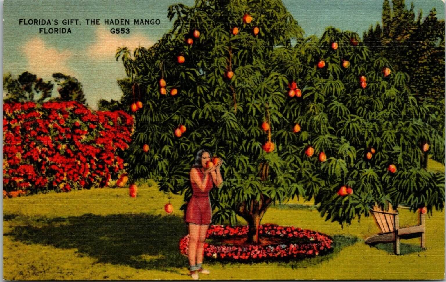 An Authentic Florida Mangos Road Trip 2023