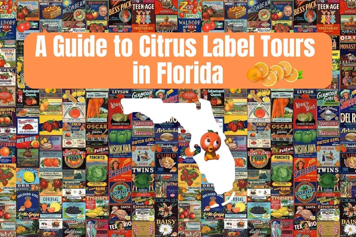 A Guide to 2023 Citrus Label Tours in Florida • Authentic Florida