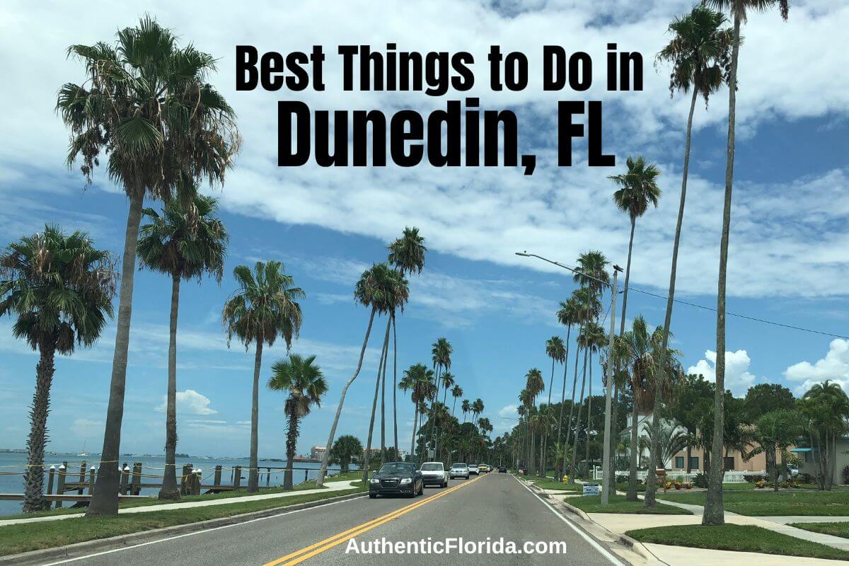 19 Best Things to Do in Dunedin, FL 2023 • Authentic Florida