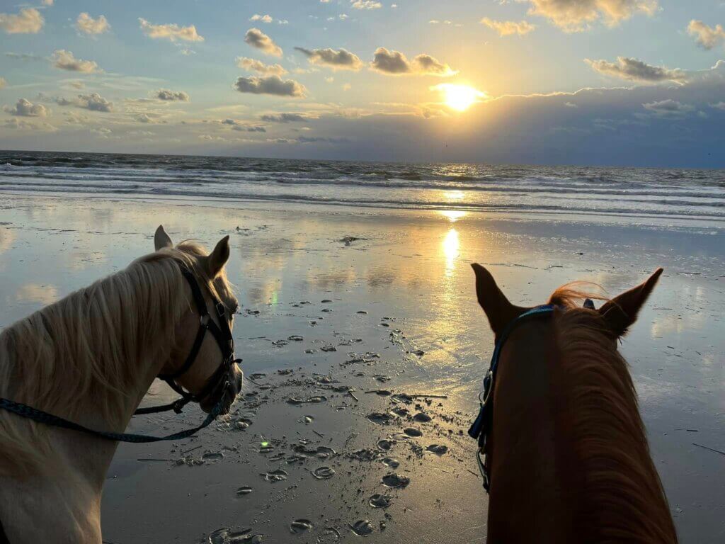 Authentic Florida's Favorite Romantic Getaways •