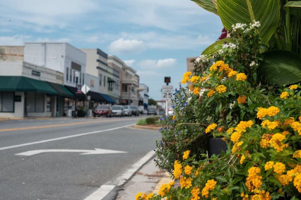 travel agency lake city fl